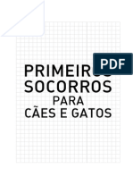 Manual Primeiros Socorros Bichanos