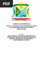 TDR Defensa Ribereña Sector Juan Velazco