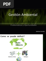 Gestión Ambiental - Diplomado EHSQ 1