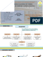 Derecho de Trasnporte - Diapos