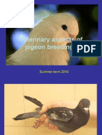 Veterinary Aspects of Pigeon Breeding 2010