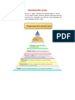 Organización Social y Política 1