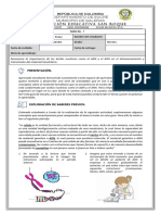 Guía 1. Ciencias Naturales - Grado Noveno - Ácidos Nucleicos.