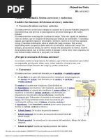 Funciones Del Sistema Nervioso y Endocrino - Odt