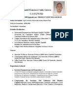 Ronald Francisco Cádiz Guerra Curriculum Vitae 1