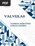 VALVULAS