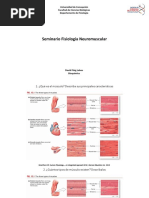 Seminario 4 - Fisiología Neuromuscular