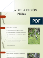 Flora de La Región Piura