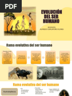 CLASE 11 - Evolucion Del Ser Humano