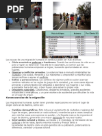 Causas y Consecuencias de La Migracion