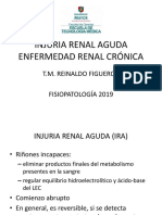 22 Injuria Renal Aguda-Enfermedad Renal Crónica