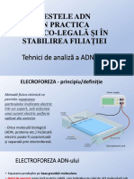 Subiect 23 - Electroforeza ADN-ului