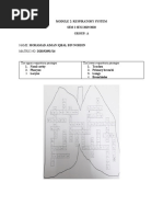 Module 2: Respiratory System SEM 2 SESI 2019/2020 Group: A: Name: Mohamad Aiman Iqbal Bin Nordin MATRIC NO: D20192091516