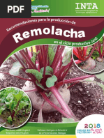 Recomendaciones Produccion Remolacha 2018