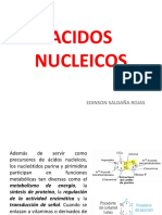 Acidos Nucleicos