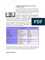 Distribución de Microorganismos en El Sistema Ecológico Humano GATA