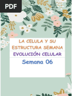 EVOLUCION CELULAR 1 Semana 6