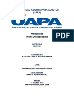 TRABAJO FINAL INTRODUCCION A AL PSICOTERAPIA Yaniris