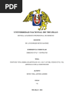 Opinión Sobre Los Artículos Del Código Civil y La Constitución