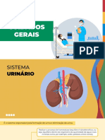 Sistema Urinário e Sondas