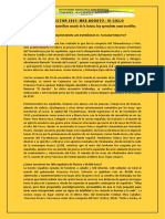 Texto Plan Lector