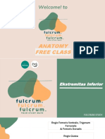 Fulcrum - Anat - 3 - Ekstremitas Inferior - NAD (FREE CLASS ED)