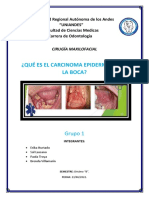 Qué Es El Carcinoma Epidermoide de La Boca