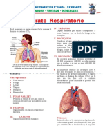 Aparato Respiratorio