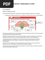 Biologia Semana 26