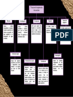 Mapa Conceptual