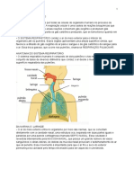 Sistema Respiratório