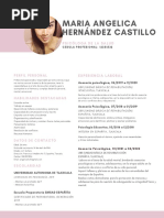 CV Maria Angelica Hernandez Castillo