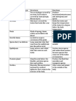 Female and Male Reproductive Organs