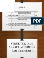 Struktur Dan Model Membran 2022 (Autosaved)