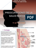 Preocupaciones de La Salud Materna