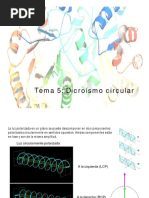 Tema 5 - Dicroísmo Circular