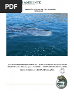 Plan de Manejo Tiburon Ballena BC Temporada 2021