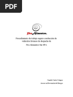 Procedimiento de Trabajo Seguro Conducción de Vehículos