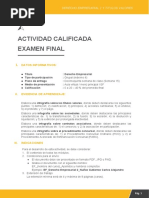 Formato Examen Final Ef