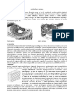 Architettura Romana