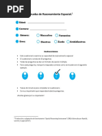 Spatial Reasoning Instrument Spanish