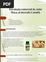 Estrategia Comercial de Venta Maca, Al Mercado Canadá1