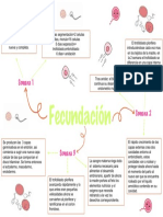 Fecundacion Semana 1-3