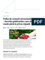 Zmeura Polka - Descrierea Soiului Cu Caracteristici Și Recenzii, În Special Plantare Și Creștere Și Îngrijire, Fotografie - Plante