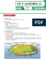 Qué Estudia La Citología