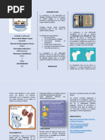 Triptico Osteoporosis