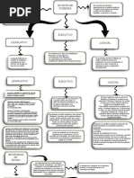 Mapa Conceptual 1