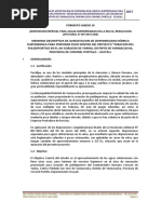 Formato Anexo 10 Acreditacion