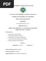 Práctica No. 4 - Grupo D - Peso Específico y Capacidad de Absorción