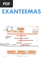 PRINCIPIOS de Pediatria